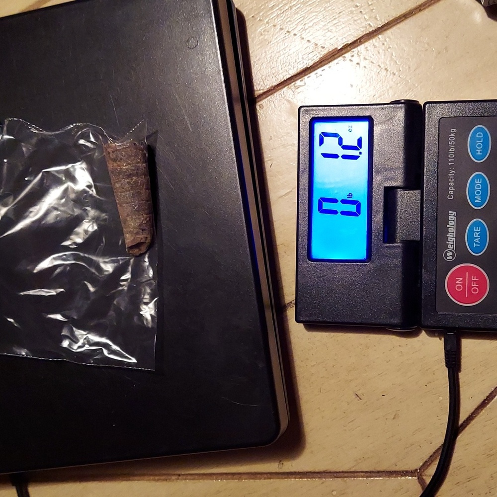 Y2k ORTHOCERAS FOSSIL - RARE EUC! - Picture 6 of 10